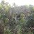 forestvilla8